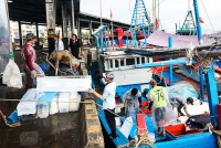 Tập trung chống khai thác thủy sản bất hợp pháp