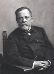 Louis Pasteur - từ sinh viên sư phạm đến cha đẻ của vaccine phòng dại