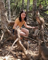 3 đảo khỉ hút khách ở Việt Nam