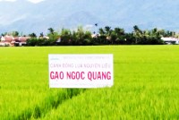 Ninh Hòa: Xây dựng bản đồ nông hóa thổ nhưỡng