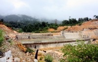 Rà soát các dự án thủy điện chuyển mục đích sử dụng rừng