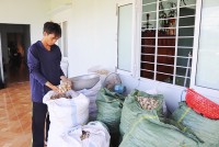 Ninh Hòa: Nông dân phập phồng trữ tỏi mùa dịch