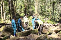 Khánh Vĩnh: Tình trạng phá rừng diễn biến phức tạp