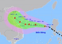 Tàu thuyền của Khánh Hòa đã chủ động tránh bão số 5