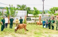 Tặng bò giống cho 2 hộ nghèo xã Ba Cụm Nam