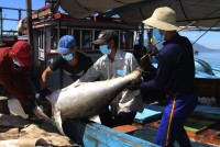 Phát triển nghề cá bền vững, trách nhiệm